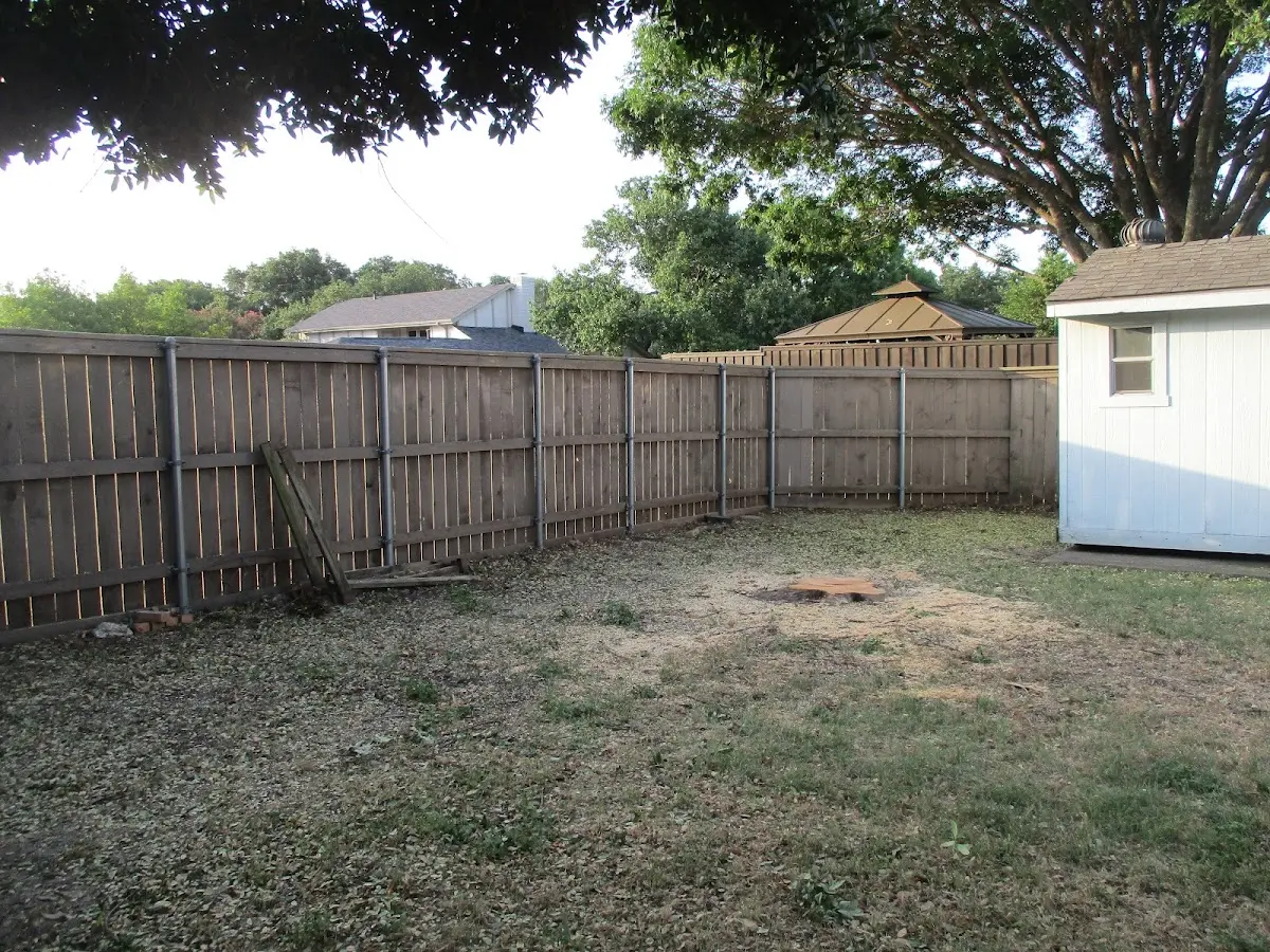 Cleared yard after professional tree removal in Key West