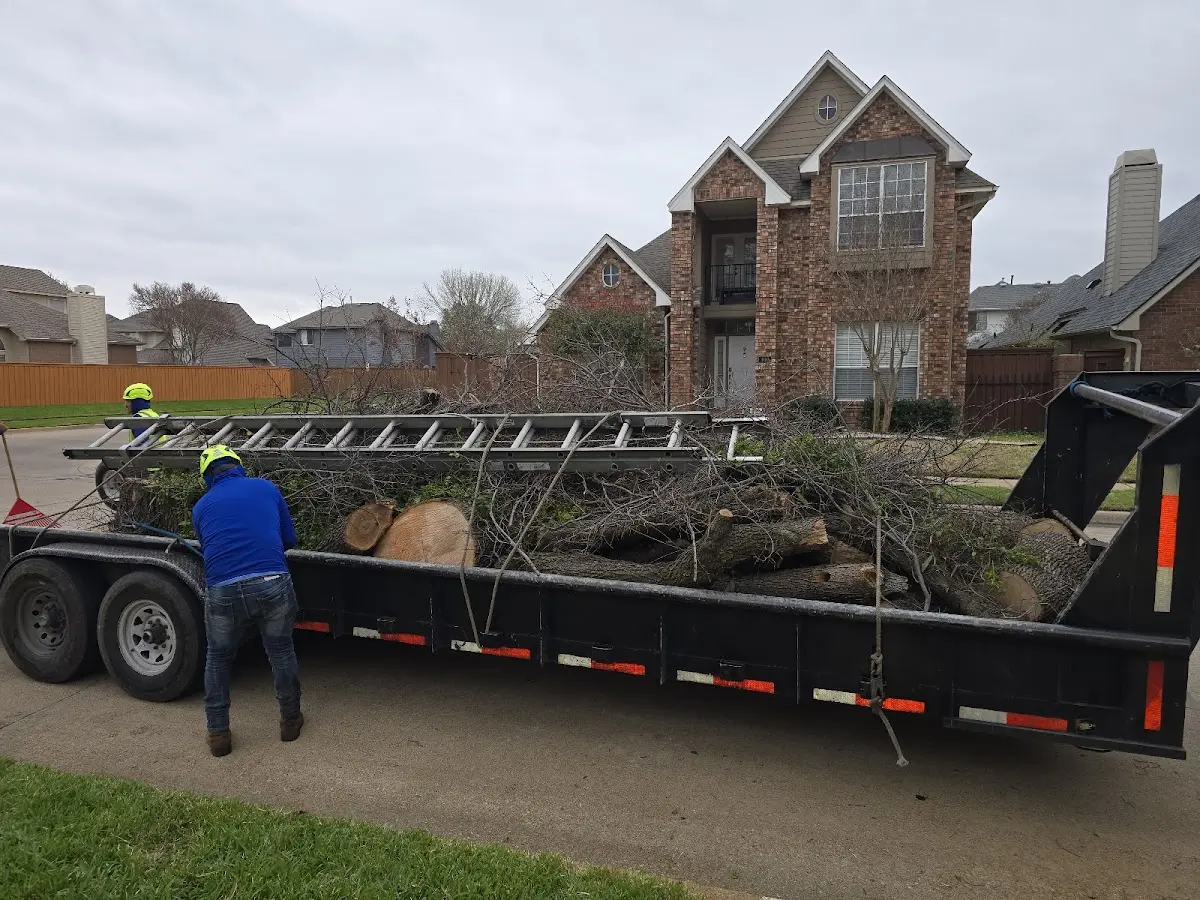 Expert Tree Fertilization with proper safety equipment in Key West